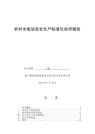 乐溪水电站安全生产标准化自评报告(DOC45页)