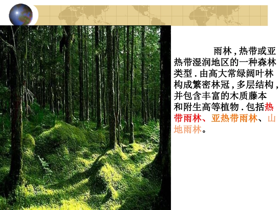 《雨林的毁灭——世界性灾难》上课版_第3页