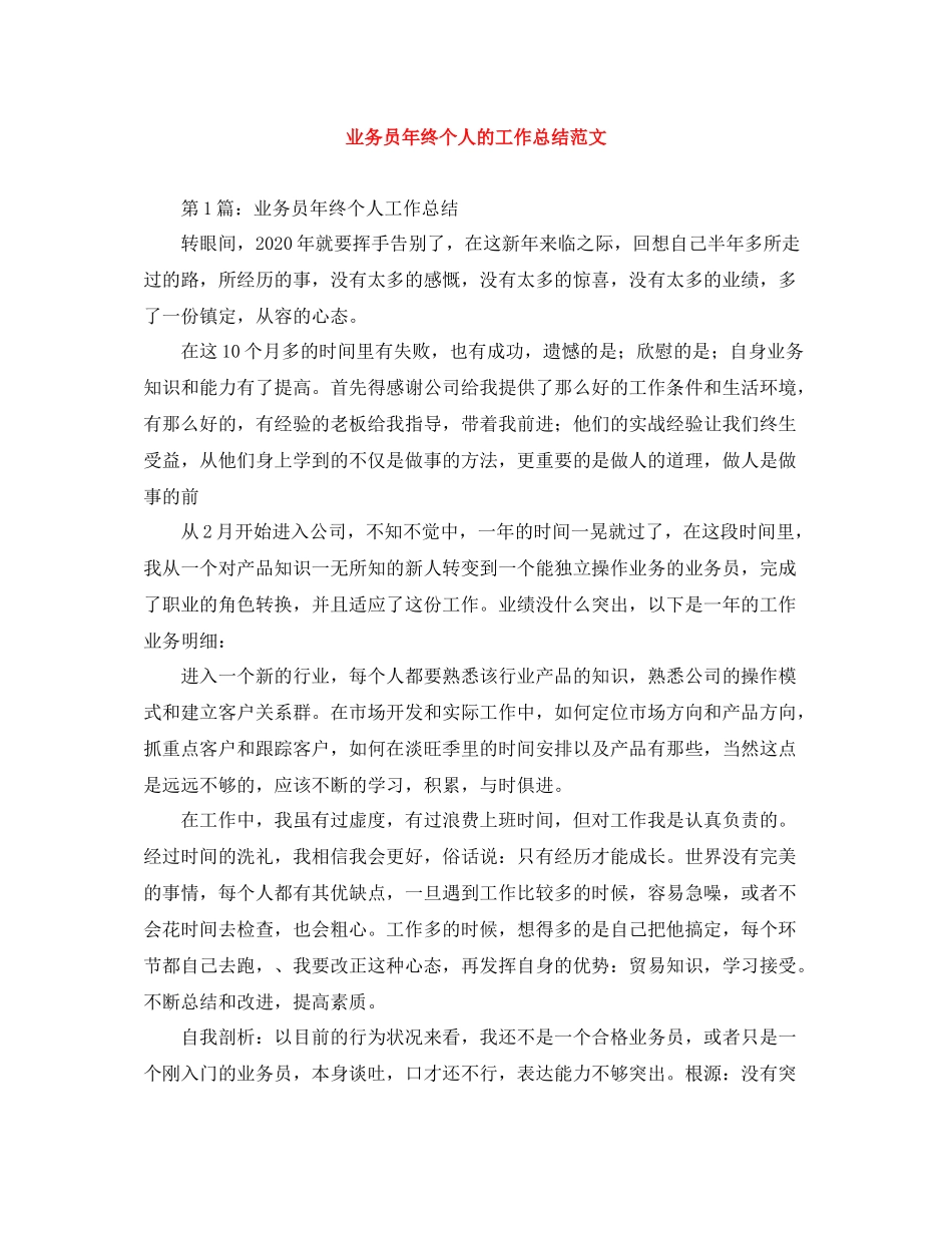 业务员年终个人的工作总结范文_第1页