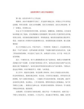 业务员年终个人的工作总结范文