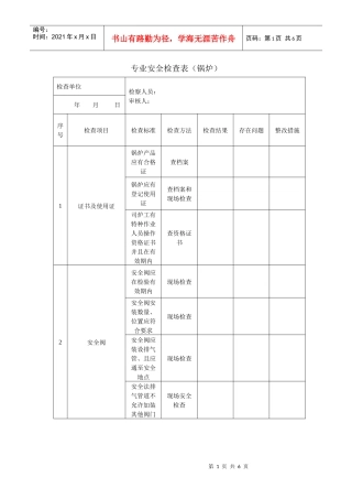 专业安全检查表
