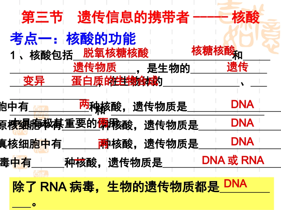 一轮复习遗传信息的携带者——核酸使用版_第3页
