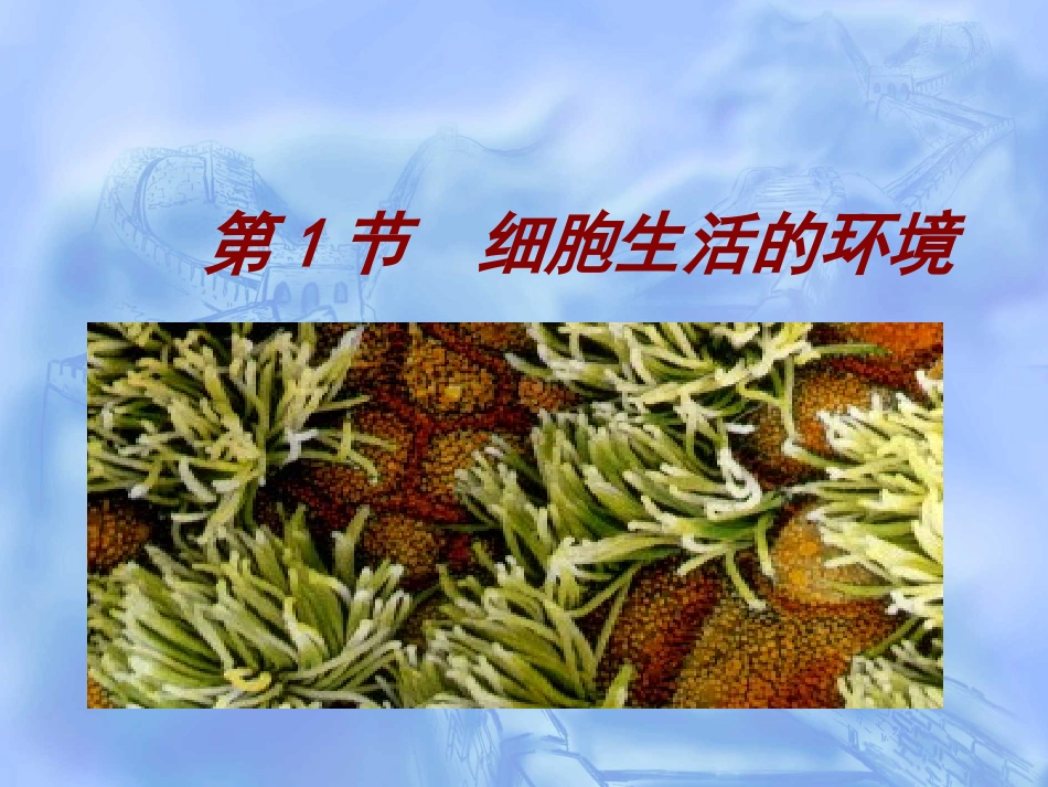 细胞的生活环境_第2页