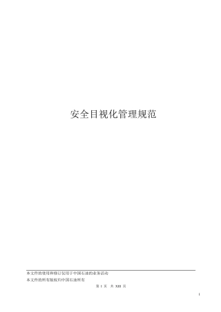集团公司安全目视化管理规范