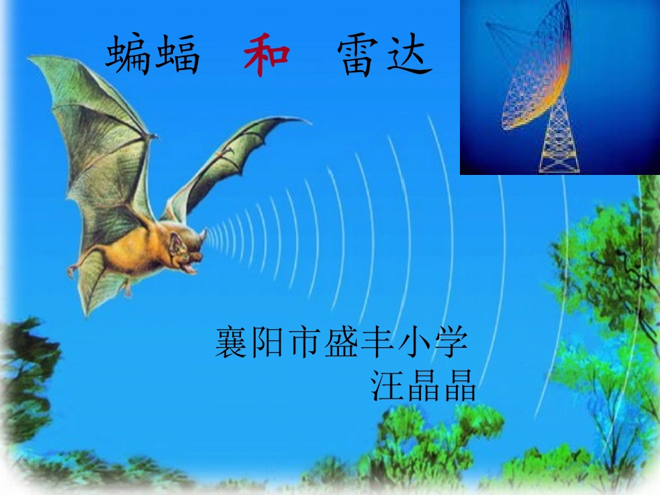 蝙蝠和雷达1_第3页