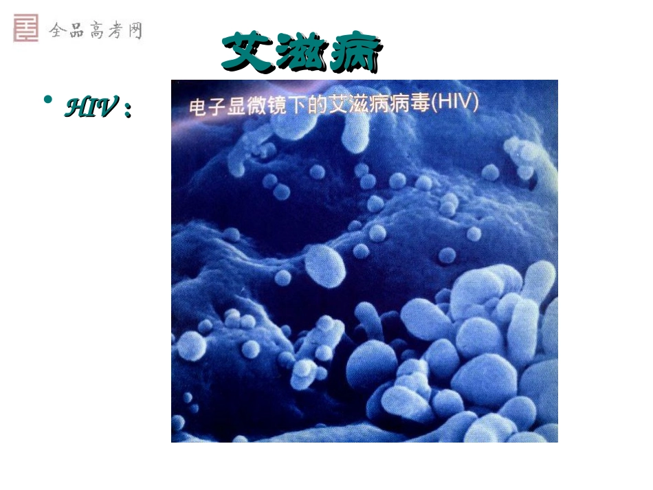必修三第2章动物和人体生命活动的调节第4节免疫调节_第2页