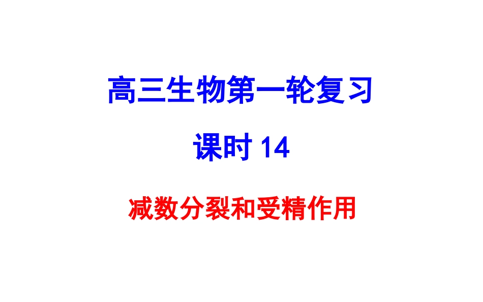 减数分裂和受精作用（修订版）_第1页