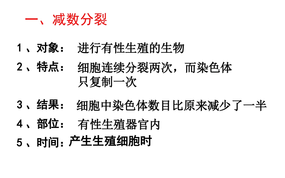 减数分裂和受精作用（修订版）_第2页