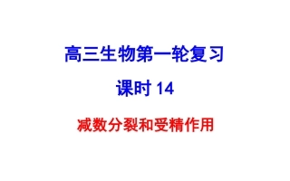 减数分裂和受精作用（修订版）
