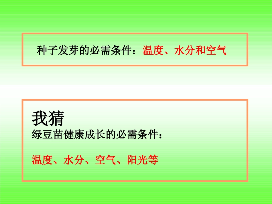 五上1-3《观察绿豆芽的生长》_第3页