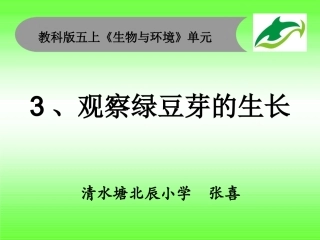 五上1-3《观察绿豆芽的生长》