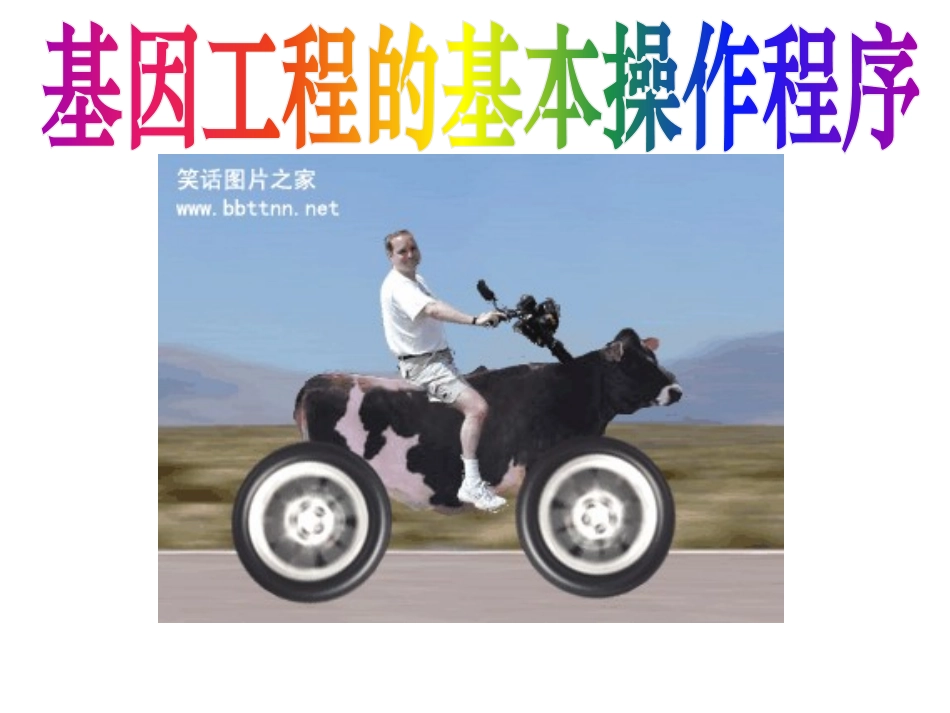 基因工程的基本操作程序_第1页