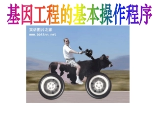 基因工程的基本操作程序