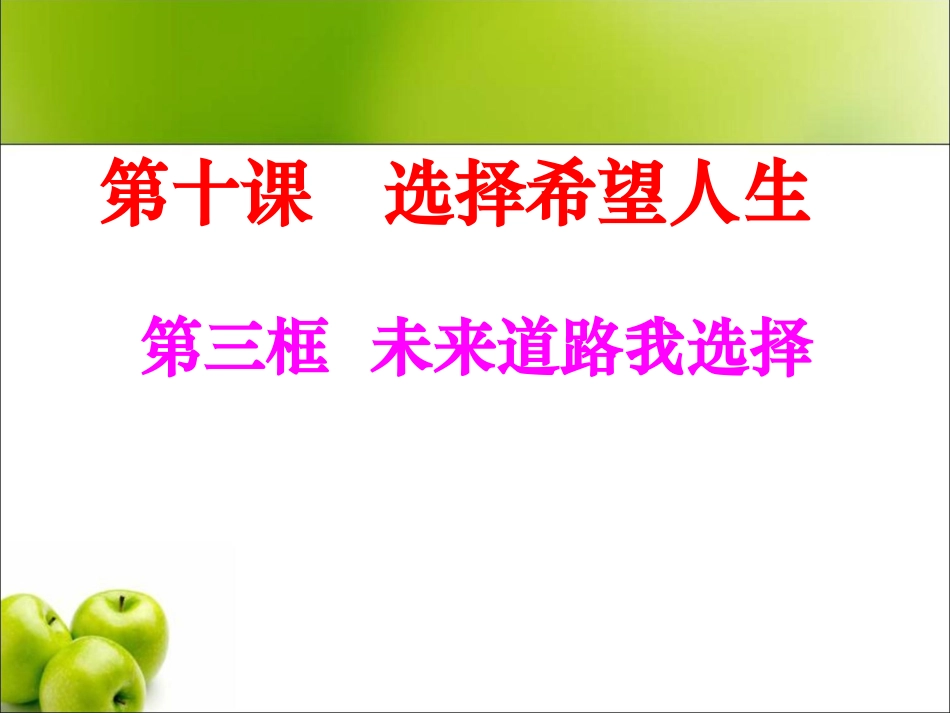 《未来道路我选择》参考课件3_第1页