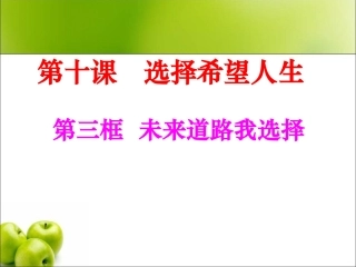 《未来道路我选择》参考课件3