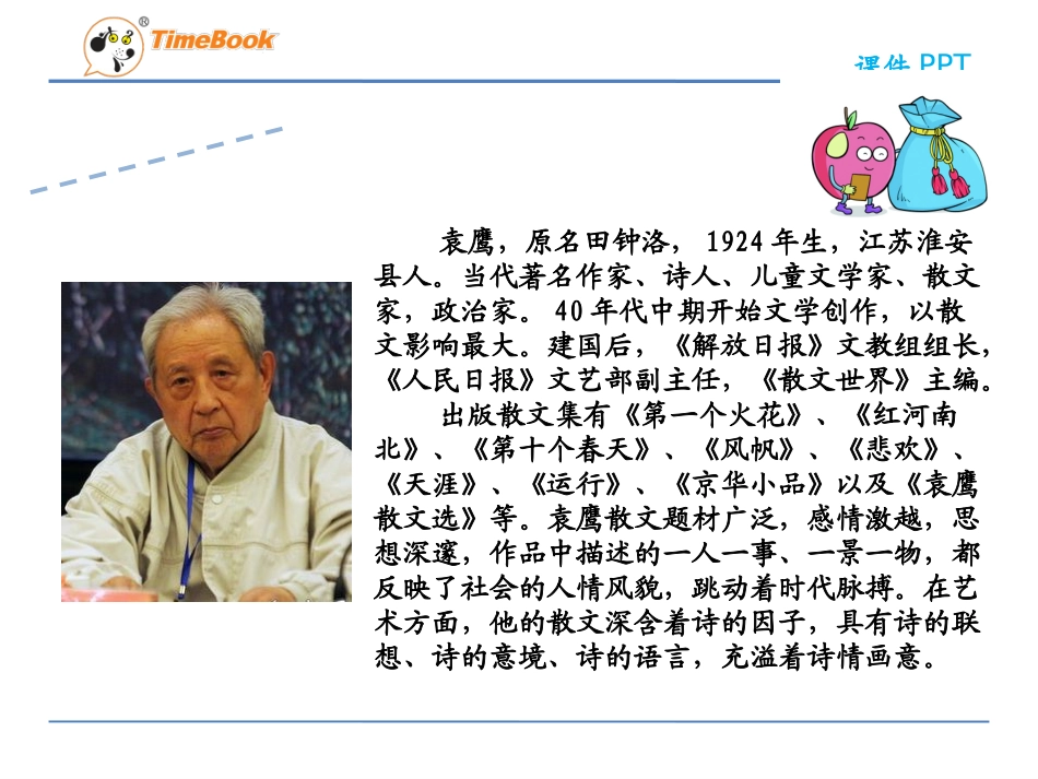 白杨-PPt_第3页