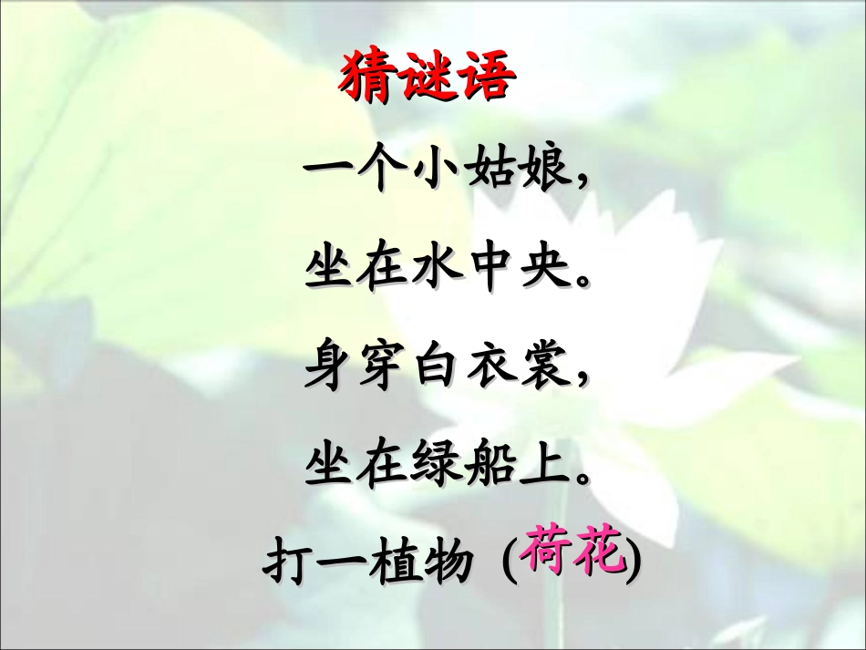 三年级下册3、课荷花课件(带生字)_第2页