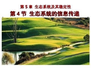 生态系统信息传递