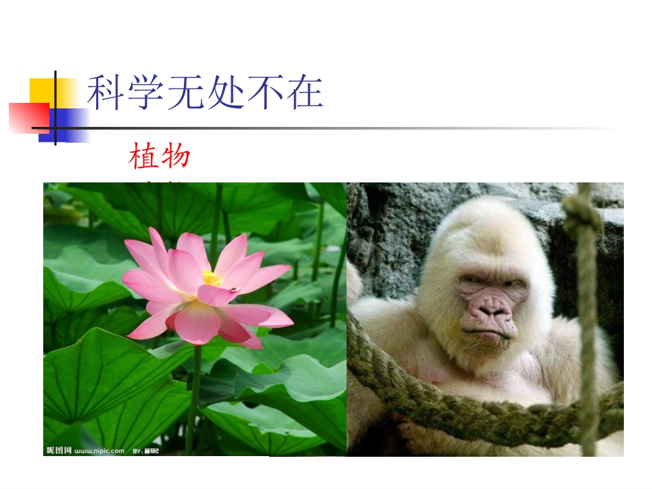 小学科学课开学第一课——新学期的话_第2页