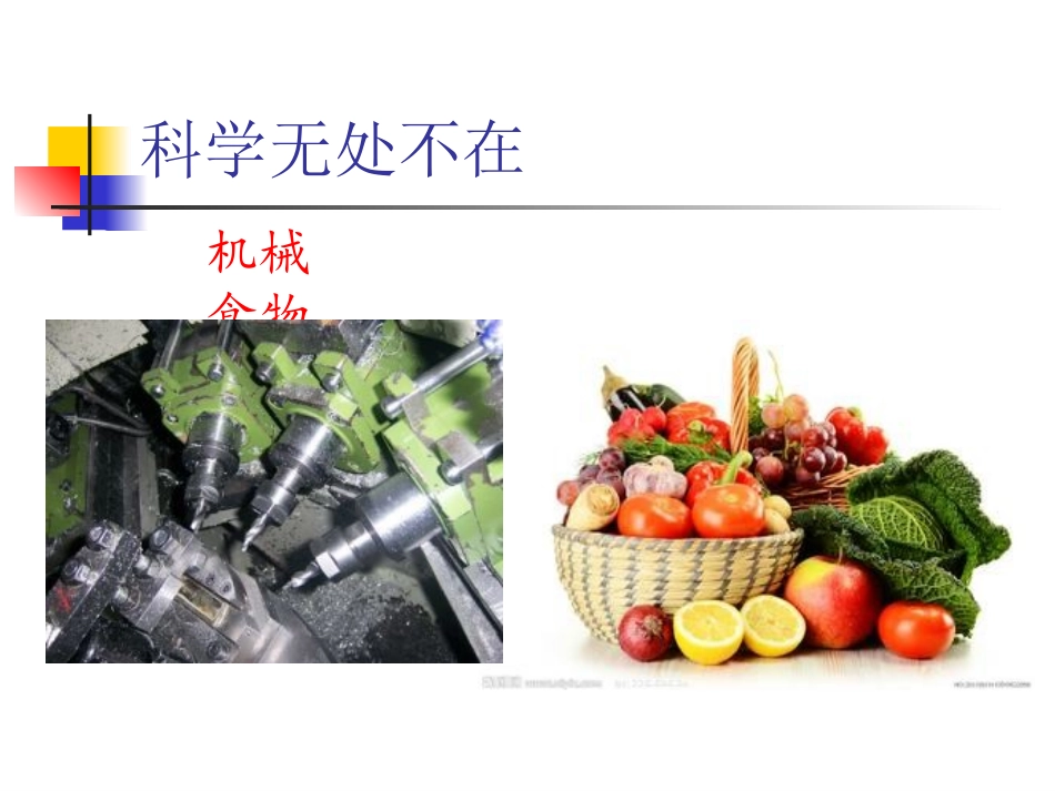 小学科学课开学第一课——新学期的话_第3页