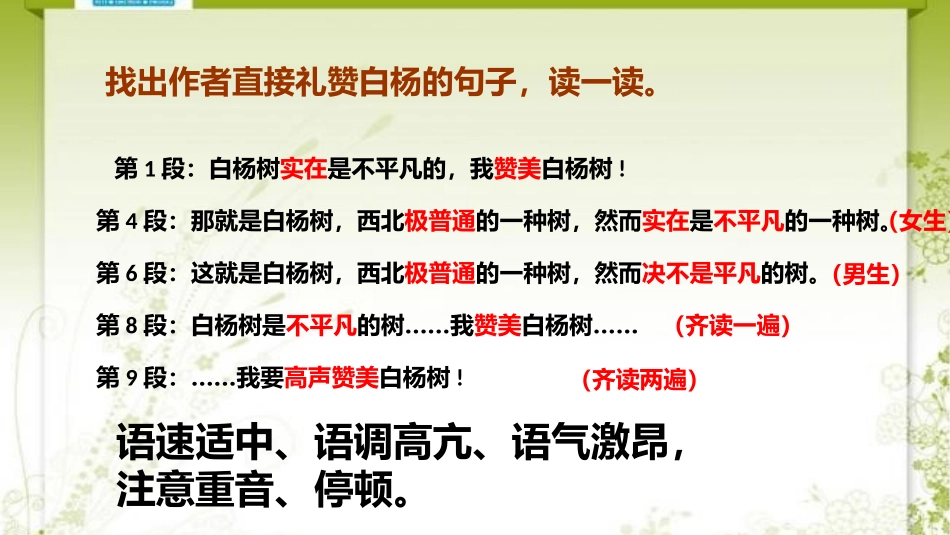 白杨礼赞演示文稿_第3页