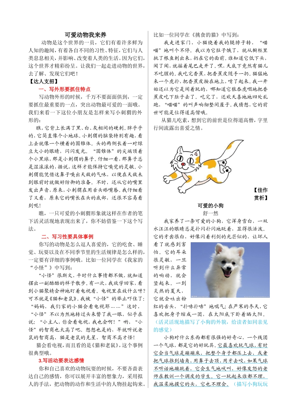 可爱动物我来养_第1页