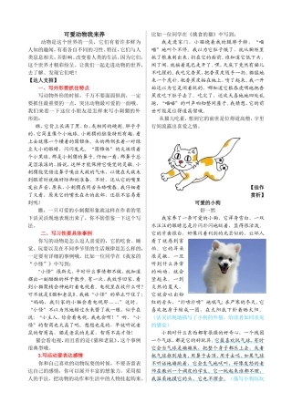 可爱动物我来养