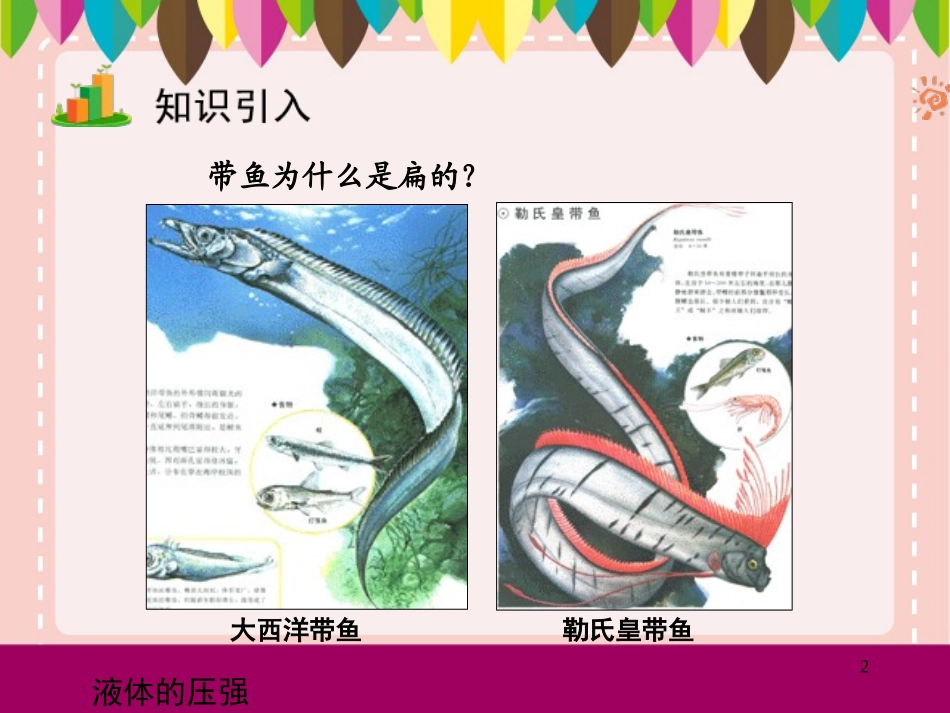 液体的压强课件1_第2页