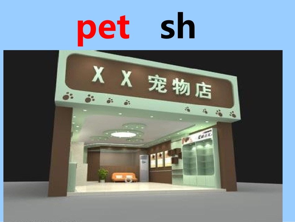 湘少版unit5CanIhaveapet_第2页