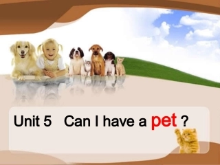 湘少版unit5CanIhaveapet
