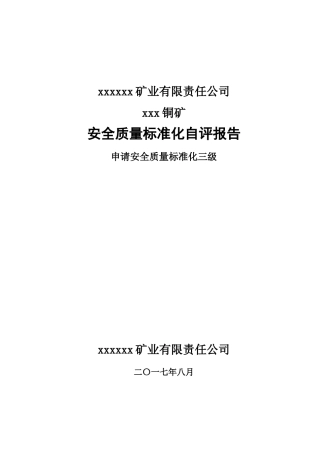 安全质量标准化自评报告