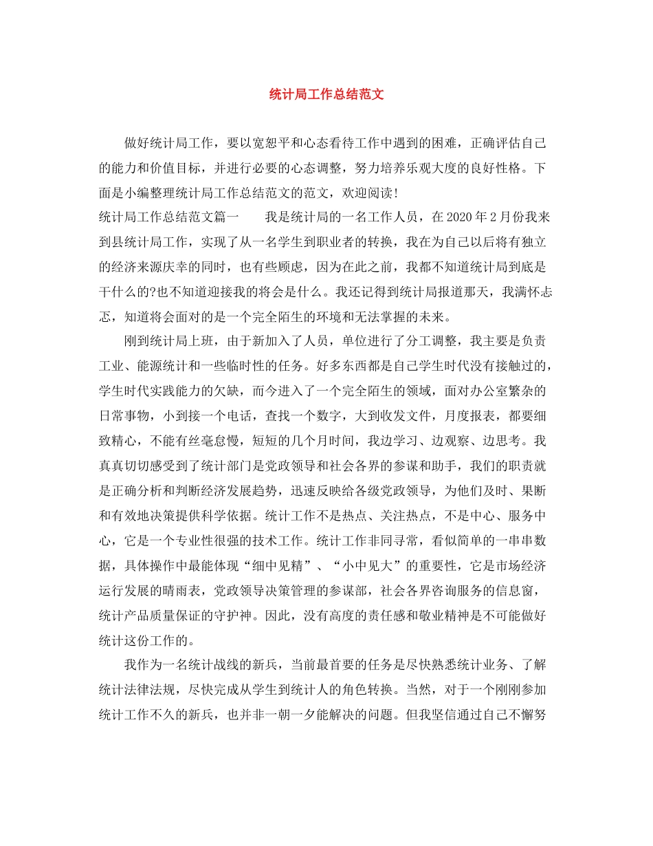 统计局工作总结范文2_第1页