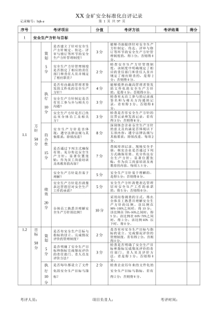 安全标准化自评记录表(三级)