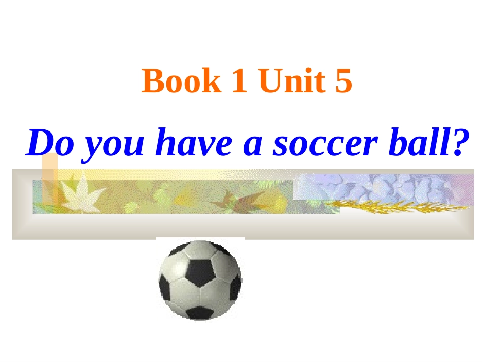 自制课件-unit5-Do-you-have-a-soccer-ball？_第1页