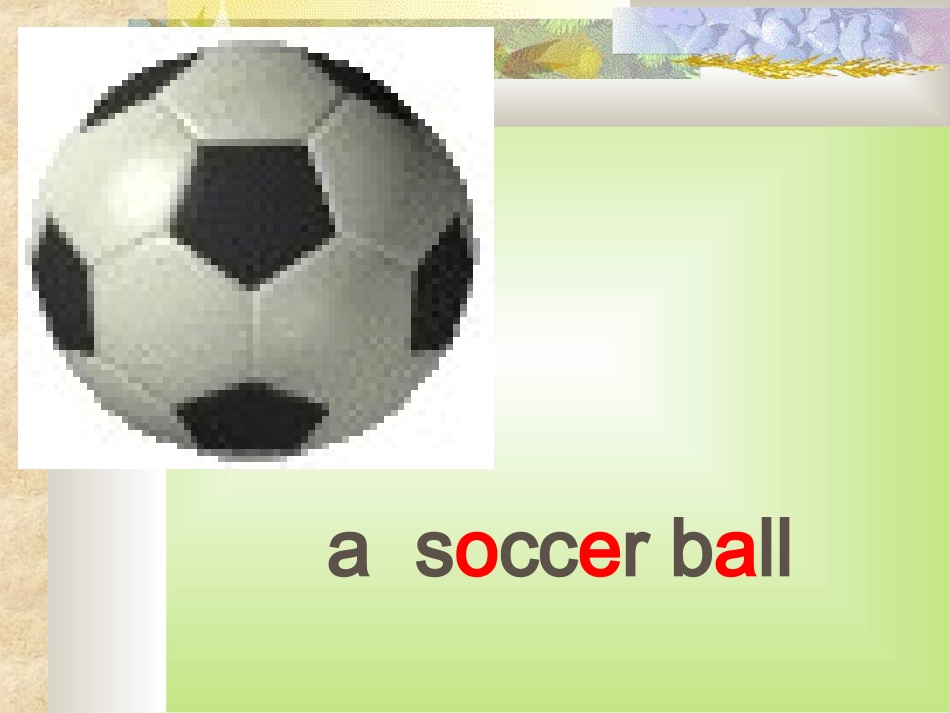 自制课件-unit5-Do-you-have-a-soccer-ball？_第3页