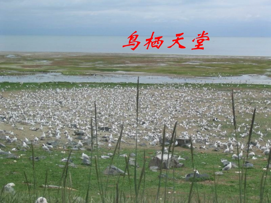 罗布泊,消逝的仙湖 (2)_第3页