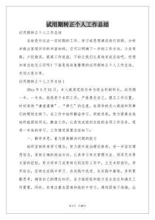 试用期转正个人工作参考总结