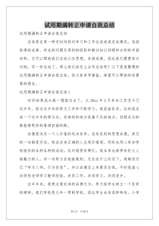 试用期满转正申请自我参考总结