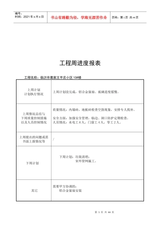 工程周进度报表汇编