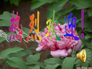 宽容主题班会课件