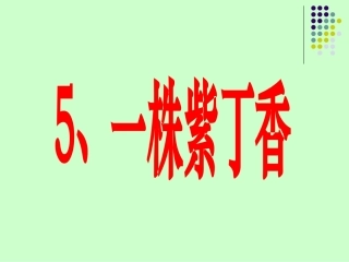 人教版二年级上册一株紫丁香教学PPT课件