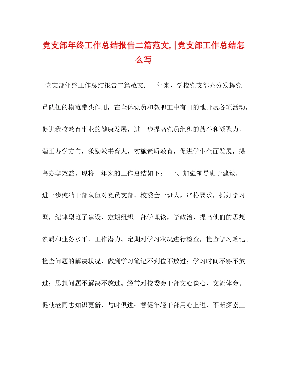 支部年终工作总结报告二篇范文党支部工作总结怎么写_第1页
