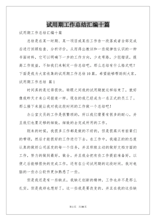 试用期工作参考总结汇编十篇