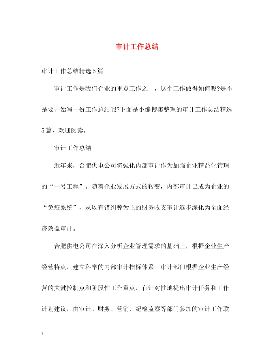 审计工作总结_第1页