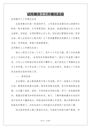 试用期员工工作情况参考总结