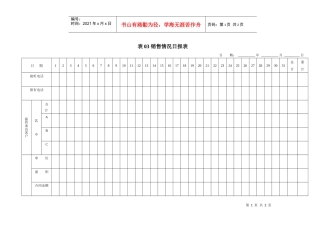 表03 销售情况日报表