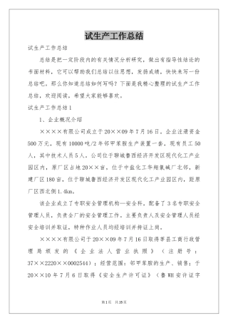 试生产工作参考总结