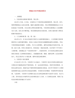 球迷会年度总结范文