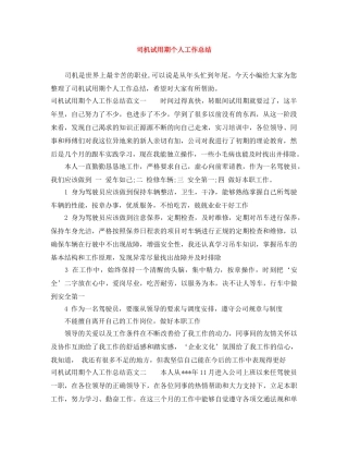 司机试用期个人工作总结 