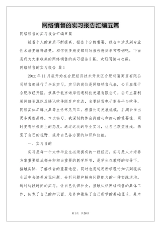 网络销售的实习报告汇编五篇